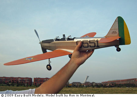 LC06 Fairchild PT-19
