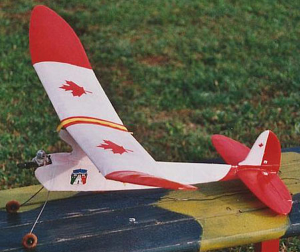1/2A Wasp built by Bruno Chiaranti