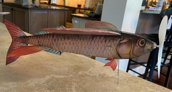 kit PD19 Pres Bruning's Flying-Fish Embryo (Laser Cut)