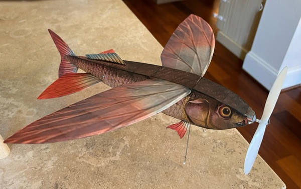 kit PD19 Pres Bruning's Flying-Fish Embryo (Laser Cut)