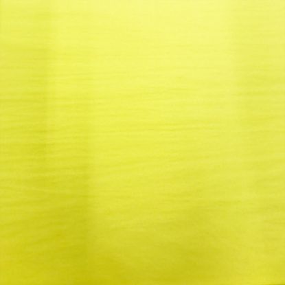 Picture of Yellow Tissue