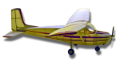 Picture of Cessna 172