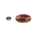 Picture of Round Magnet - 1/4" x 1/16" (6mm x 2mm)