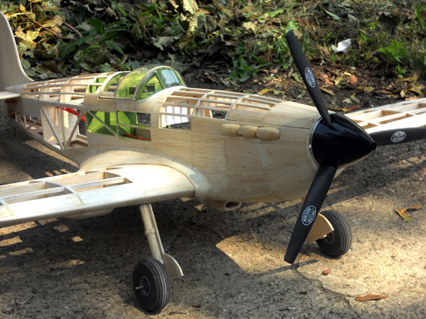 50" P40 Tomahawk Electric R/C Conversion