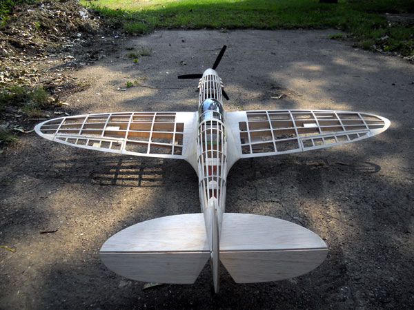 50" P40 Tomahawk Electric R/C Conversion